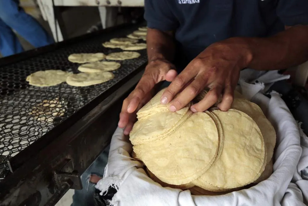 A 0.50 centavos está la tortilla en Honduras, según director de Protección al Consumidor