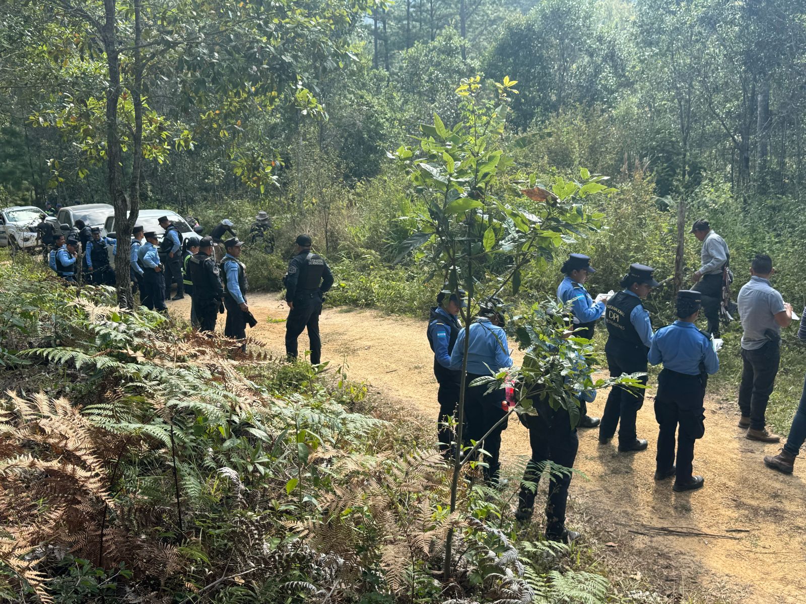 Policía Nacional realiza neutralización de desalojo de puntos de cercas ubicados de manera ilegal en el Parque Nacional La Tigra
