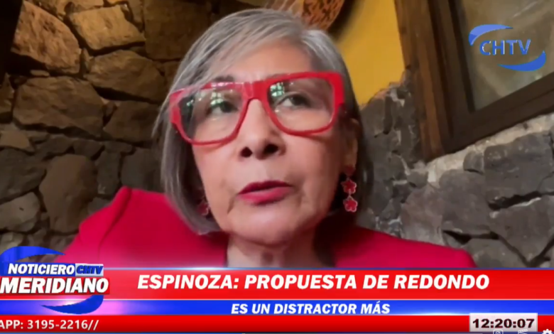 «Un distractor inoportuno» así califica la diputada Maribel Espinoza propuesta de Redondo