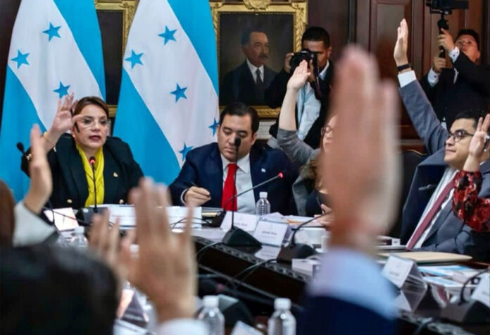 A reunión Consejo Nacional de Garantías de Derechos de Niñez y Adolescencia y presidenta Castro