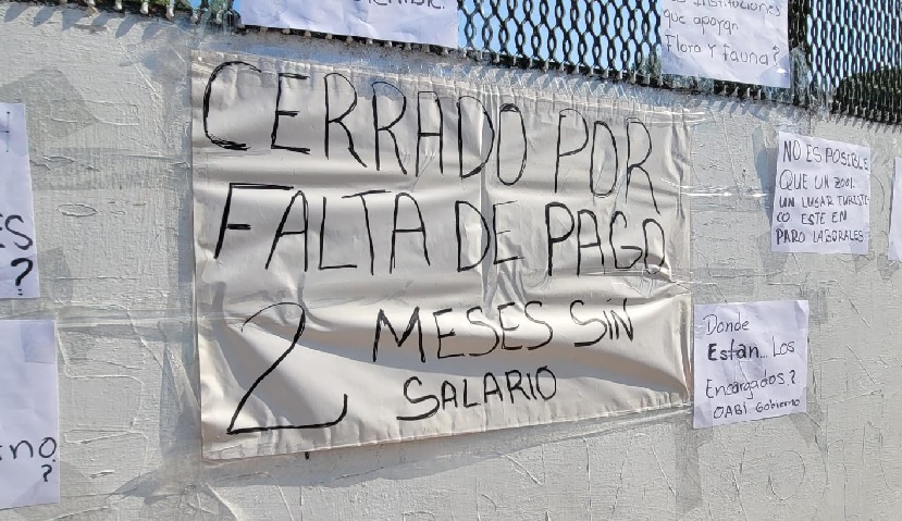 Cierre de Joya Grande: Empleados protestan por falta de pago de salario; animales mueren y deambulan