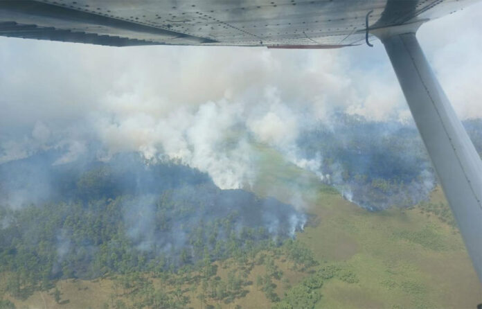 Incendio arrasa la biosfera del Río Plátano