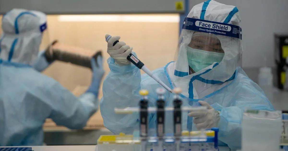 Científicos chinos crean un virus mutante con componentes del Ébola en un laboratorio, el cual ha sido mortal para un grupo de hámsters