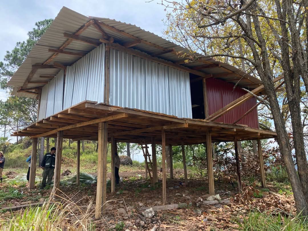 FFAA, ICF y otras instituciones realizan inspecciones en parque nacional ” La Tigra”