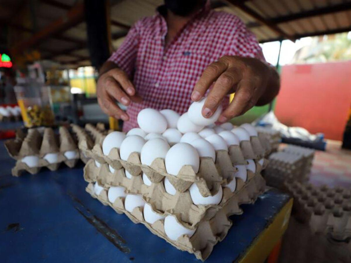 ¡Atención! Cartón de huevos aumenta L.10 y vendedores afirman que no hay escasez, si no que “se vende a Estados Unidos”