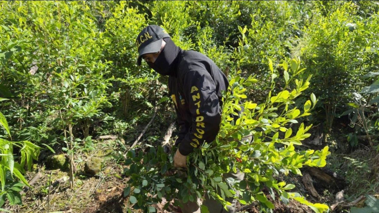 Guerra al narco deja 336 capturados y millonarias incautaciones en Honduras