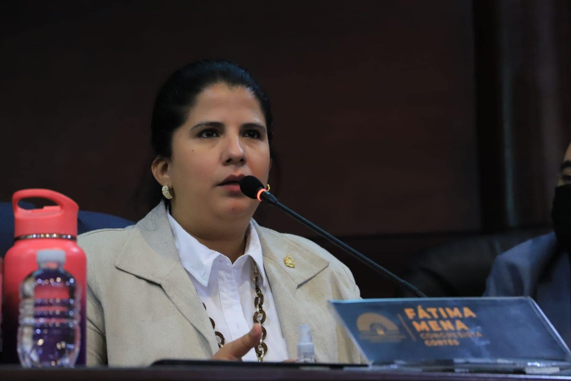 “Esta noticia no es motivo de alegría”, diputada Mena cuestiona quinta prórroga del memorándum con la ONU