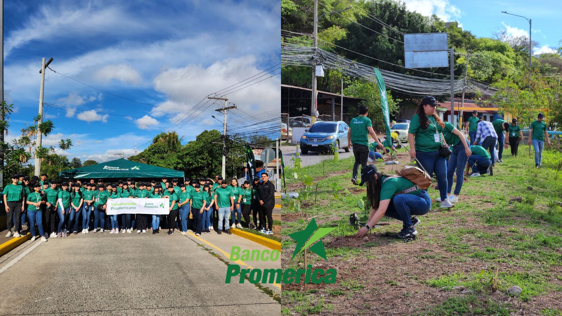 Banco Promerica impulsa el voluntariado regional con acciones en pro del medio ambiente