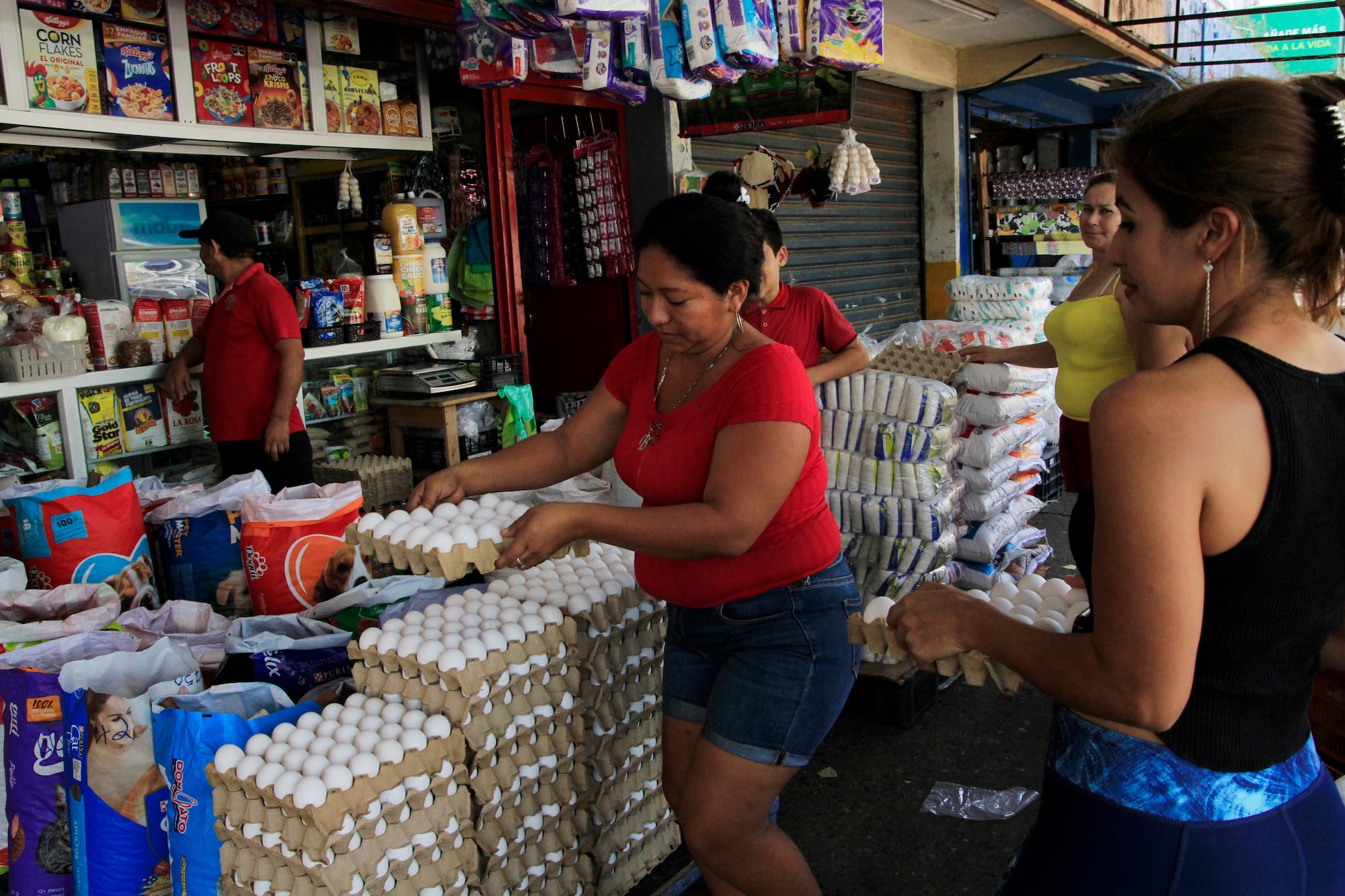 Canasta básica aumenta 6.39% en el primer semestre de 2025, según estudio de la UNAH