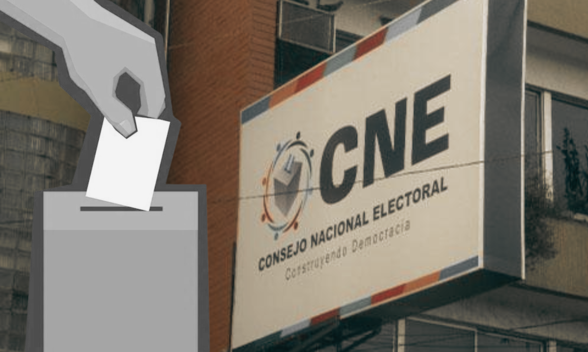 CNE confirmará adjudicación del TREP mañana o a más tardar el 30 de agosto