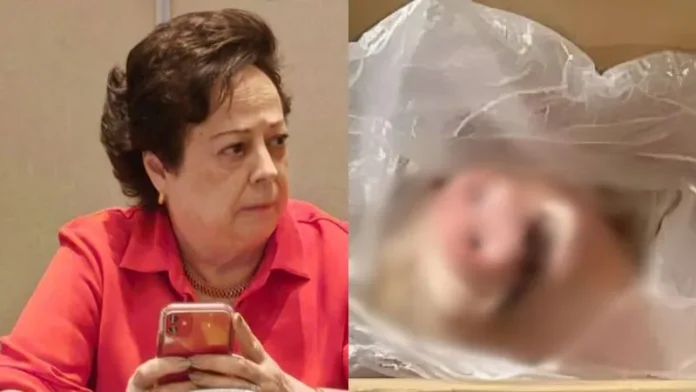 Condenan a un año de prisión a mujer por amenazas contra embajadora de México en Honduras