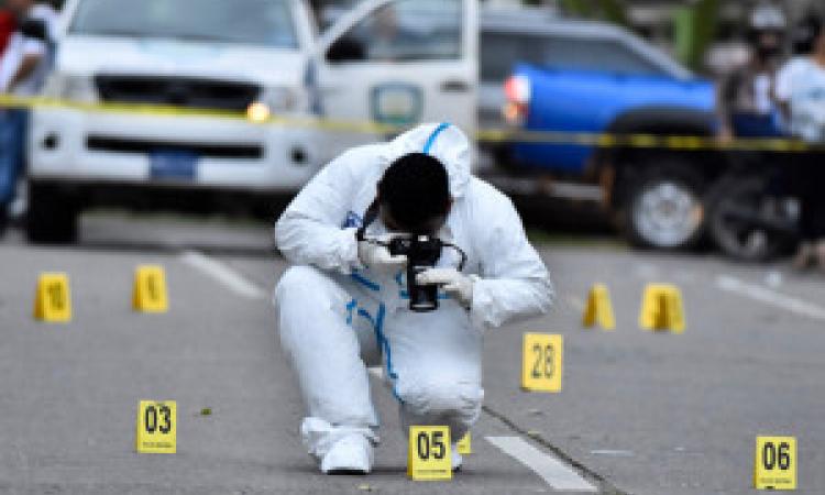 Ministro de Seguridad reporta reducción en la tasa de homicidios de 20 por cada 100 mil habitantes