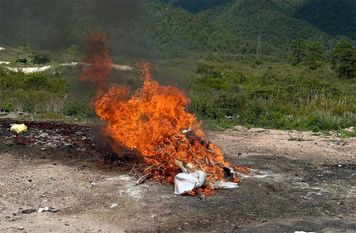 Incineran más de 54 kilos de cocaína decomisada en cuatro operaciones