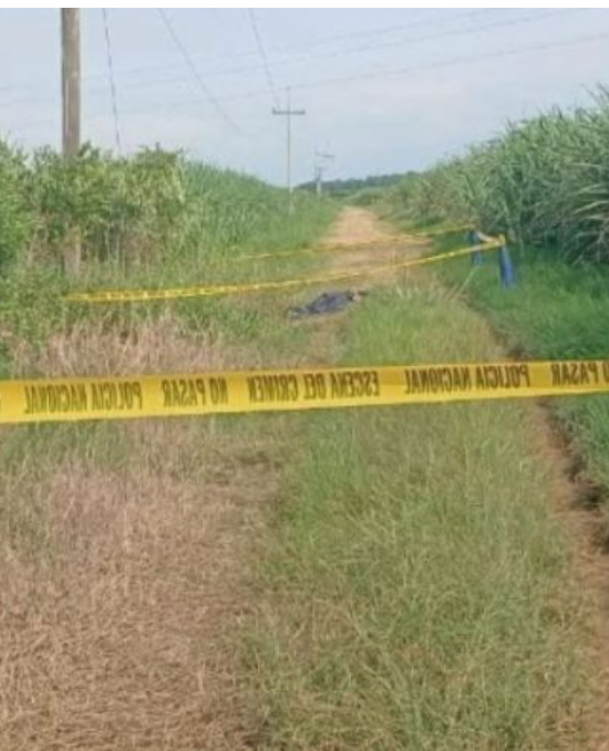 Hallan dos personas sin vida y maniatadas en Las Cañeras, San Manuel, Cortés