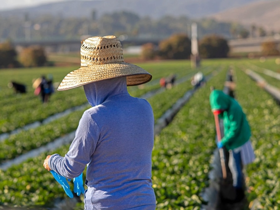 ¡Preocupante! EEUU elimina la extensión automática de permisos de trabajo para inmigrantes desde octubre de 2025