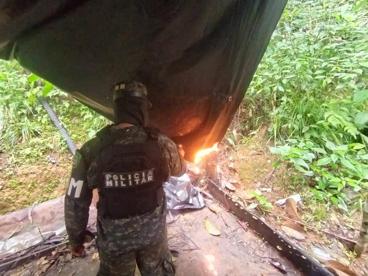 FFAA y Ministerio Público erradican plantación con 16 mil arbustos de hoja de coca en Colón