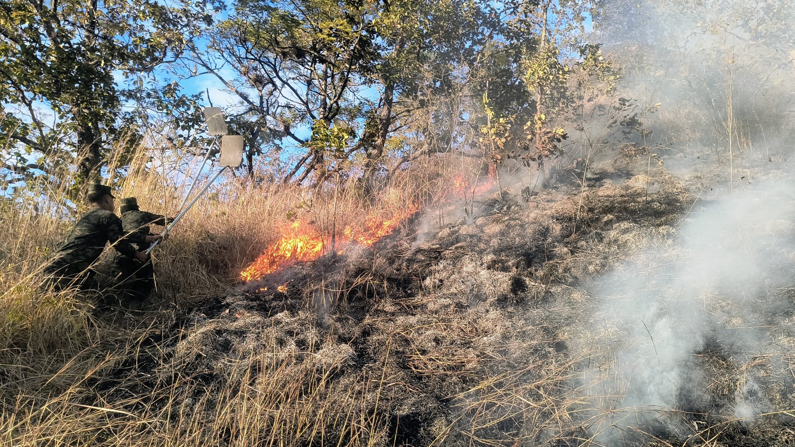 FFAA combate siete incendios forestales durante fin de semana