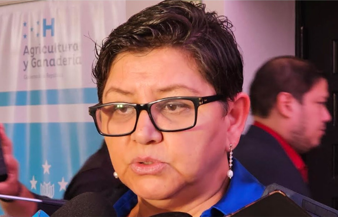 Exministra de Salud Carla Paredes asegura plaza de médico y cobra triple salario antes de renunciar