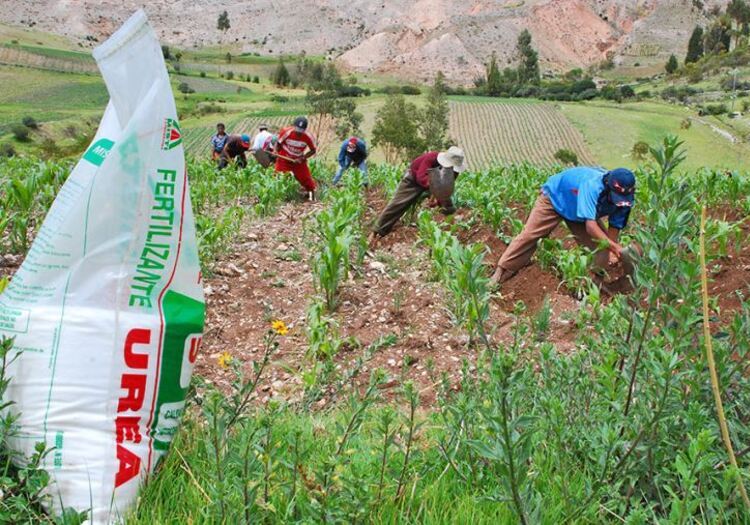 Agricultores alertan por aumento en fertilizantes y piden control de precios
