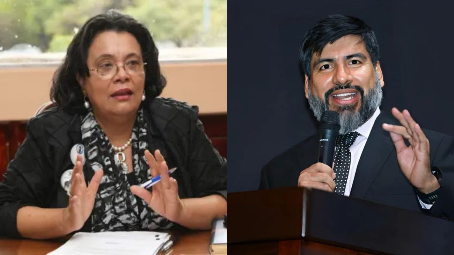 Testimonios contra Johel Zelaya fueron demoledores, es admirable la valentía de la fiscal de la ceiba, afirma Julieta Castellanos