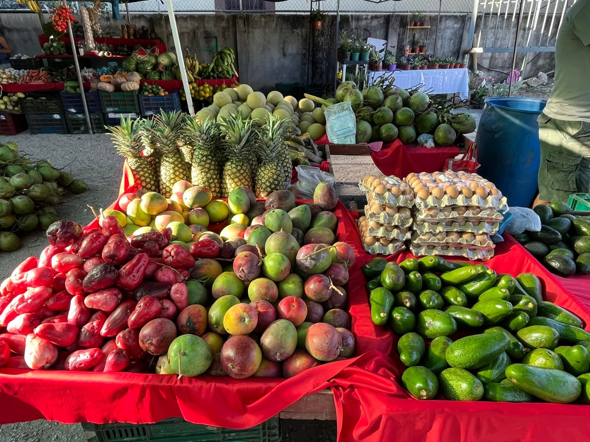 Precios de frutas y verduras registran alzas en Feria del Agricultor de Tegucigalpa
