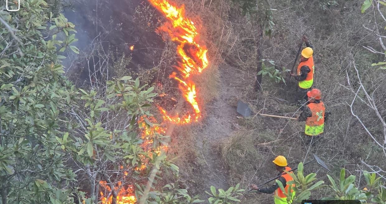 FFAA reporta 144 incendios forestales atendidos en Honduras en lo que va de 2026