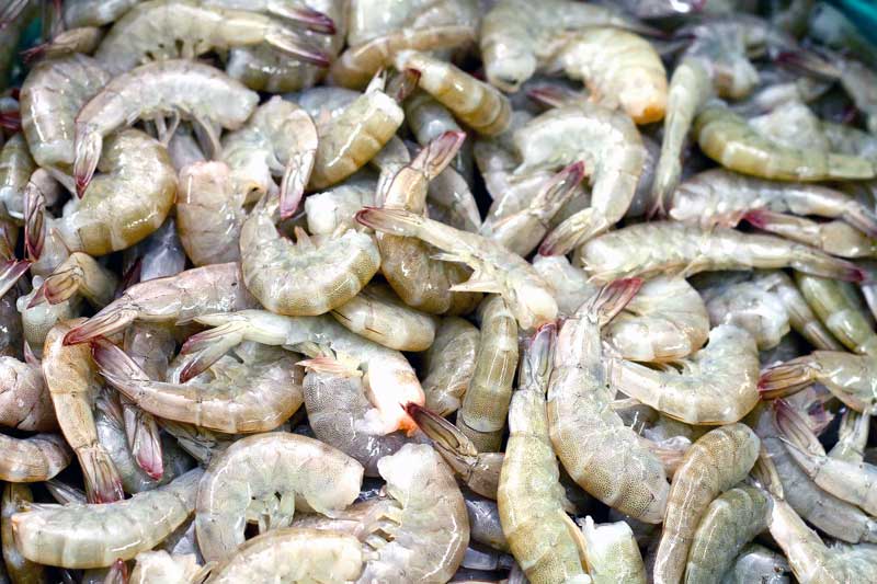 Honduras lidera la región con nuevo sistema de trazabilidad del camarón