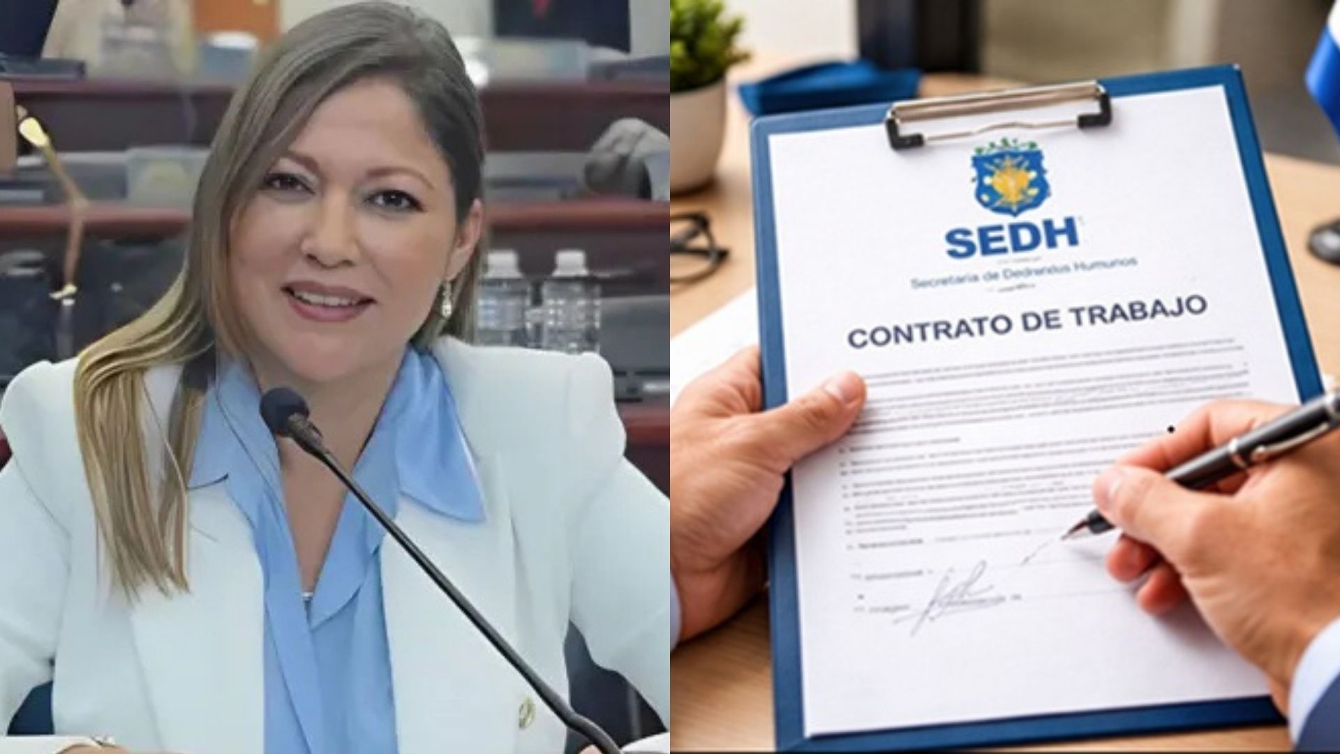 Cuestionan por premura e improvisación el proceso para elegir la Dirección del Mecanismo de Protección