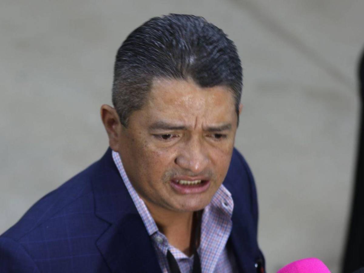 Sector del Partido Liberal se opone a juicio político contra Marlon Ochoa, admite Congreso